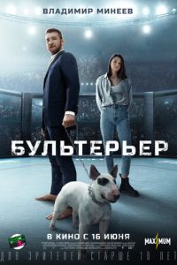 Бультерьер (2022)